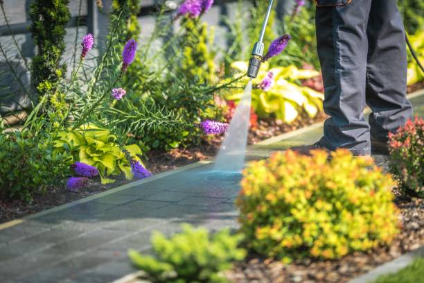 Best Pre-Holiday Cleaning  in Lakewood, CO